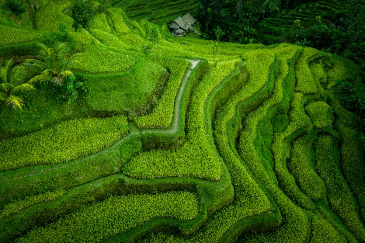 Bali Drone Photography: 52 Aerial Images From Indonesia